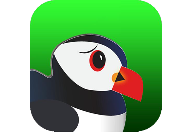 puffin web browser apk download
